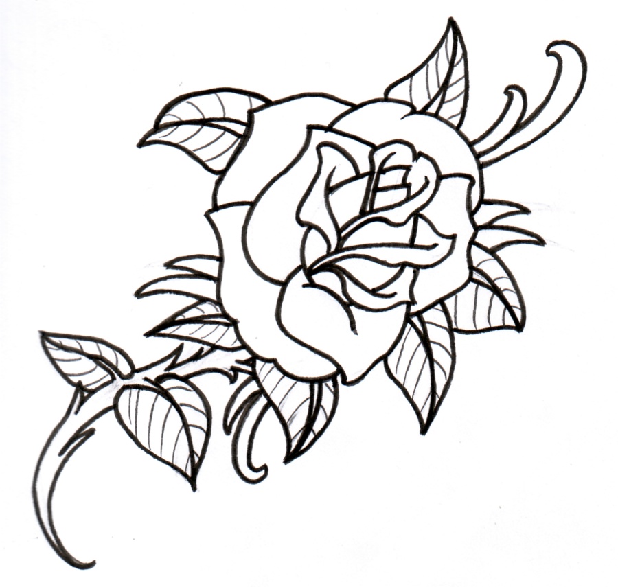 Old School Rose Outline By Vikingtattoo Hdpng.com  - Rose Outline, Transparent background PNG HD thumbnail