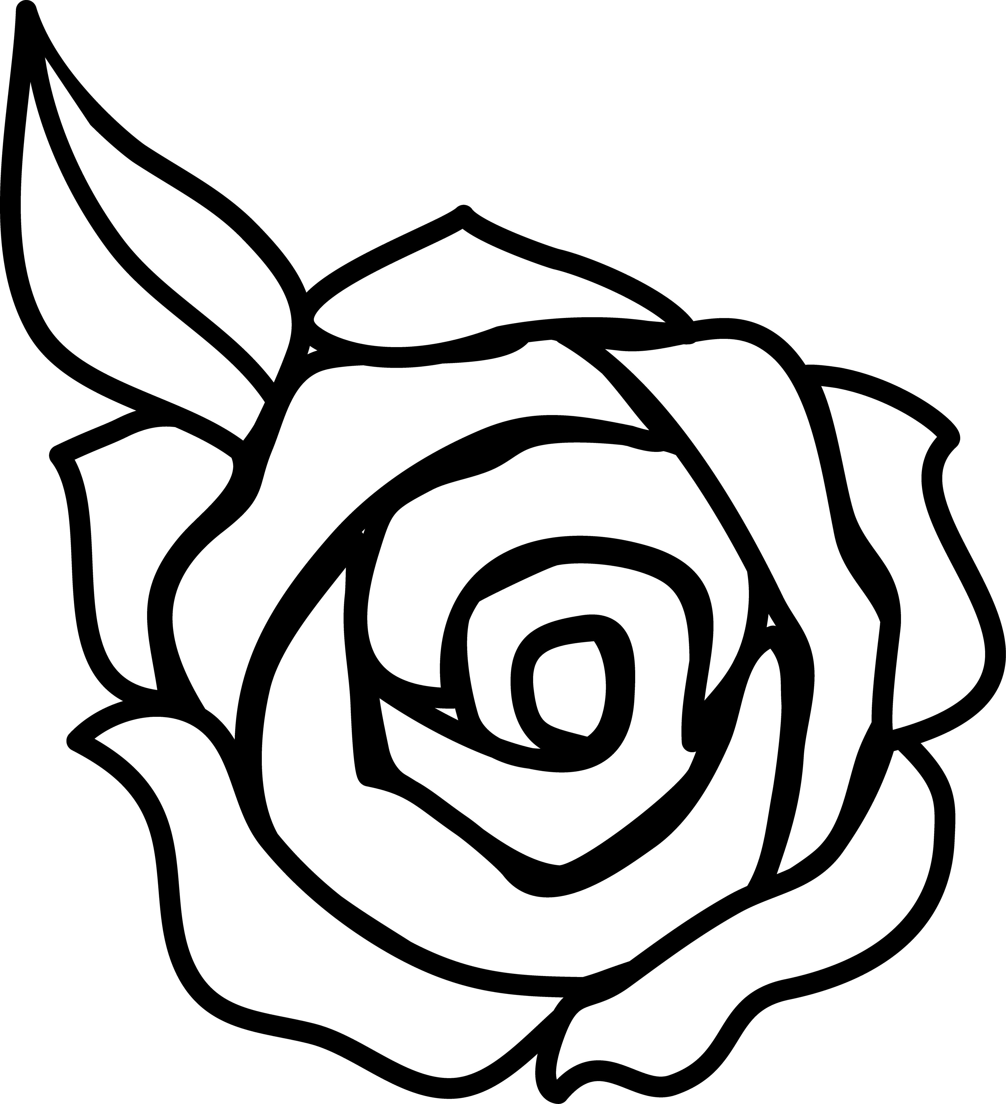 Outline Of Rose Flower - Rose Outline, Transparent background PNG HD thumbnail