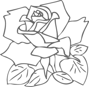 Outline Rose Clip Art - Rose Outline, Transparent background PNG HD thumbnail