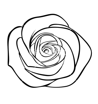 Pin Drawn Vector Rose #12 - Rose Outline, Transparent background PNG HD thumbnail