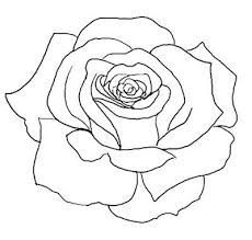 Rose Tattoo Outline   Google Search - Rose Outline, Transparent background PNG HD thumbnail