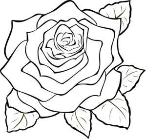 Uncoloured Rose Clip Art - Rose Outline, Transparent background PNG HD thumbnail
