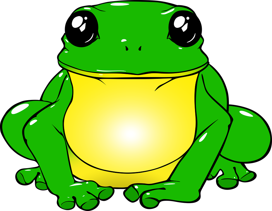 Frog, Toad, Green, Drawing, Png, Animals, Nature, Water, PNG Sapo - Free PNG