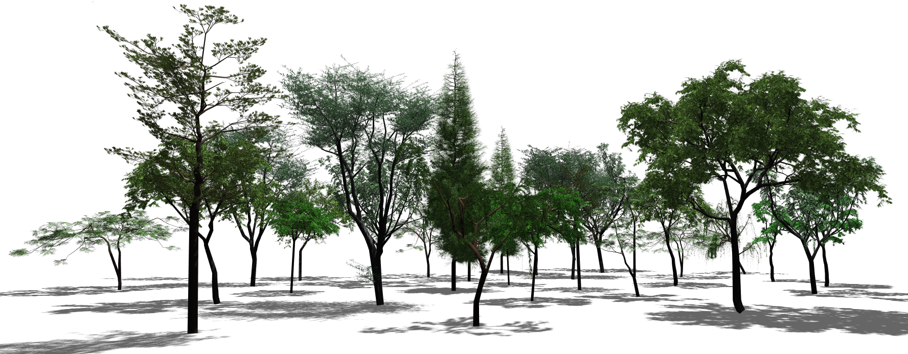Texture Lobe For Tree Modeling - Scene, Transparent background PNG HD thumbnail
