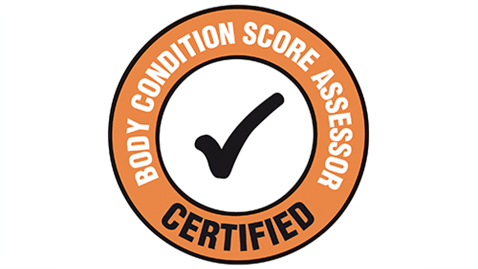 This Page Details Certified Body Condition Assessors Who Are Able To Accurately Score Your Herd. - Score, Transparent background PNG HD thumbnail