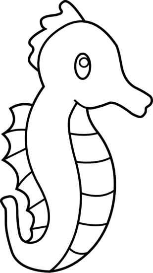 Pin Drawn Seahorse Black And White #15 - Sea Black And White, Transparent background PNG HD thumbnail