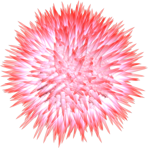 Sea Urchin By Clipartcotttage Hdpng.com  - Sea Urchin, Transparent background PNG HD thumbnail