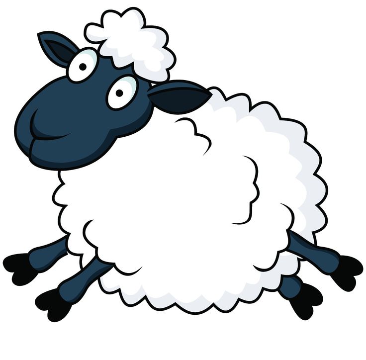 Png Sheep Cartoon - Lamb Cartoon   Clipart Best, Transparent background PNG HD thumbnail