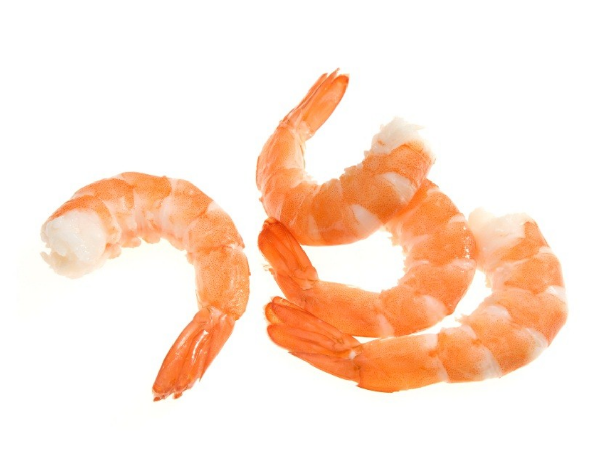 Shrimp - Shrimp, Transparent background PNG HD thumbnail