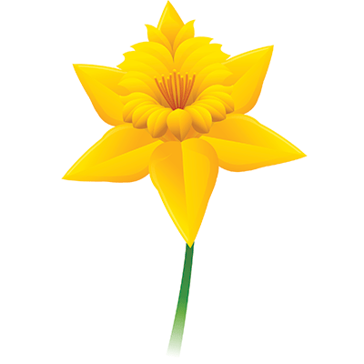 Pin Single Clipart Yellow Flower #13 - Single Flower, Transparent background PNG HD thumbnail