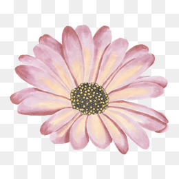 Pink Single Flower, Flowers, Watercolor Flowers, Single Flower Png Image - Single Flower, Transparent background PNG HD thumbnail