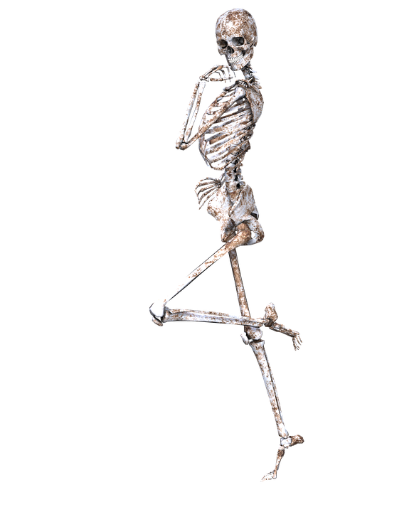 Skeleton Pose Skull Bones 3D Png - Skeleton Bones, Transparent background PNG HD thumbnail
