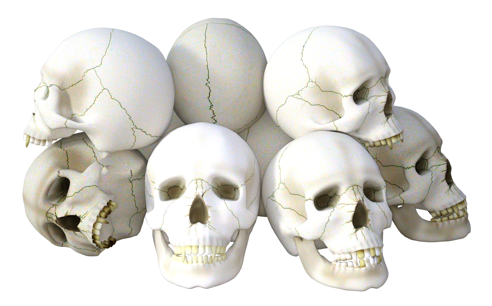 Horror skull, Scary, Skull, R