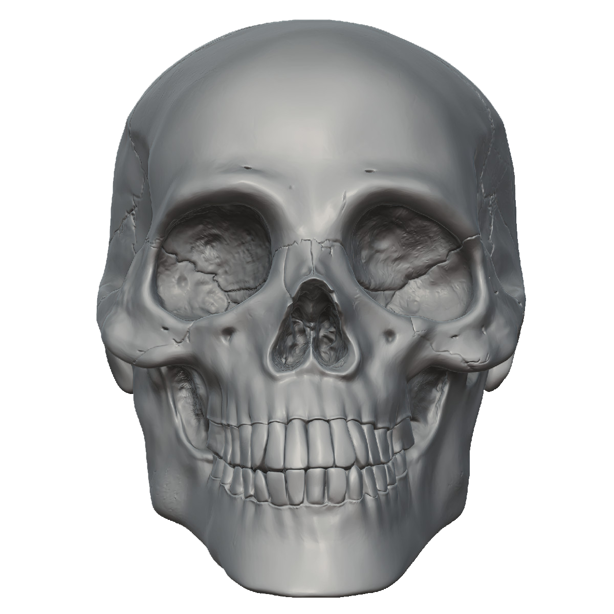 PNG Skeleton Head - Download Image - S