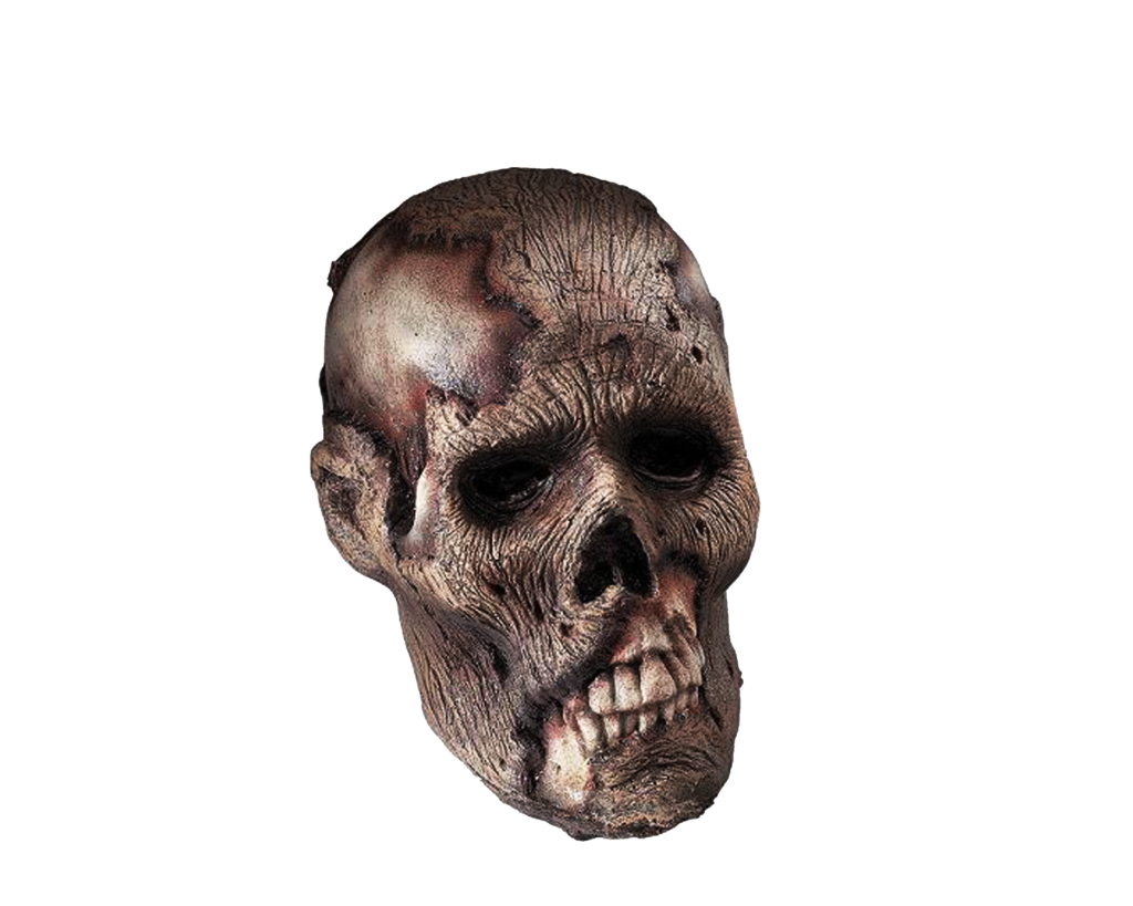 PNG Skeleton Head - Download Image - S