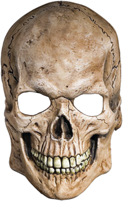 Skull Png Image - Skeleton Head, Transparent background PNG HD thumbnail