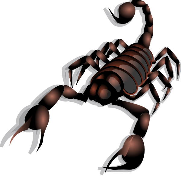 Png: Small · Medium · Large - Skorpion, Transparent background PNG HD thumbnail