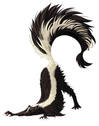 Skunk PNG
