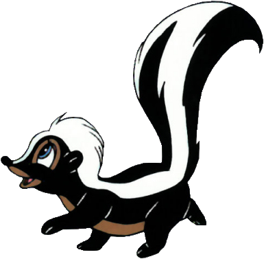 Skunk Png Picture PNG Image