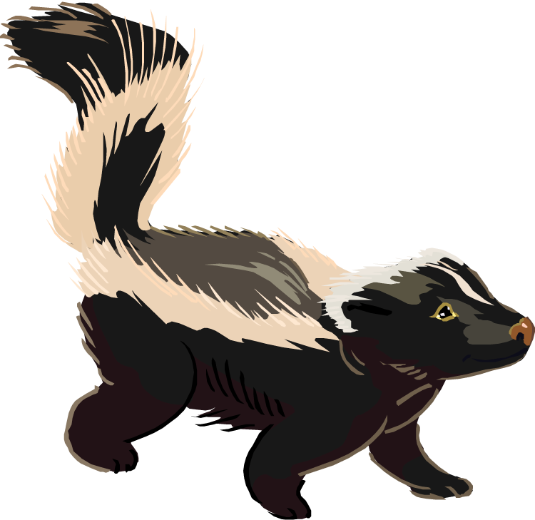 Skunk Png Picture PNG Image