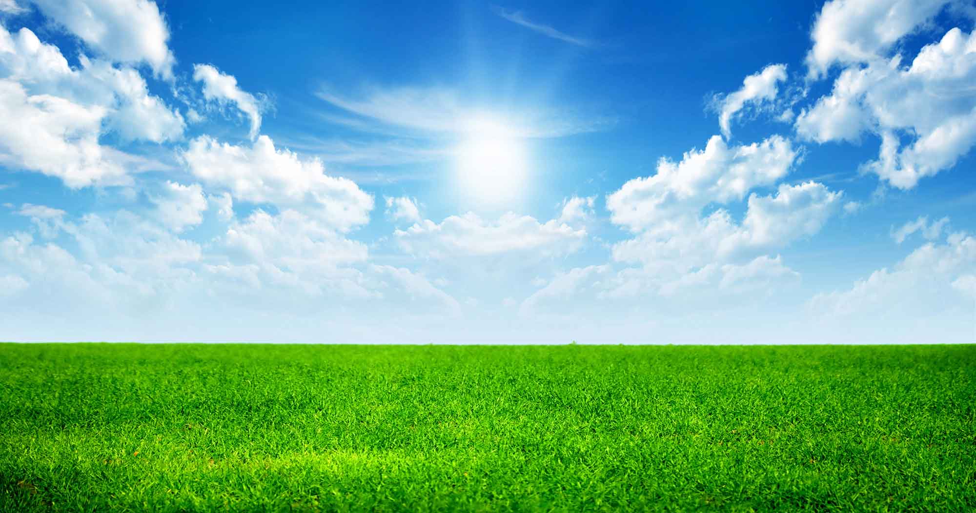 Wallpapers For U003E Green Grass And Sky Background - Sky Background, Transparent background PNG HD thumbnail