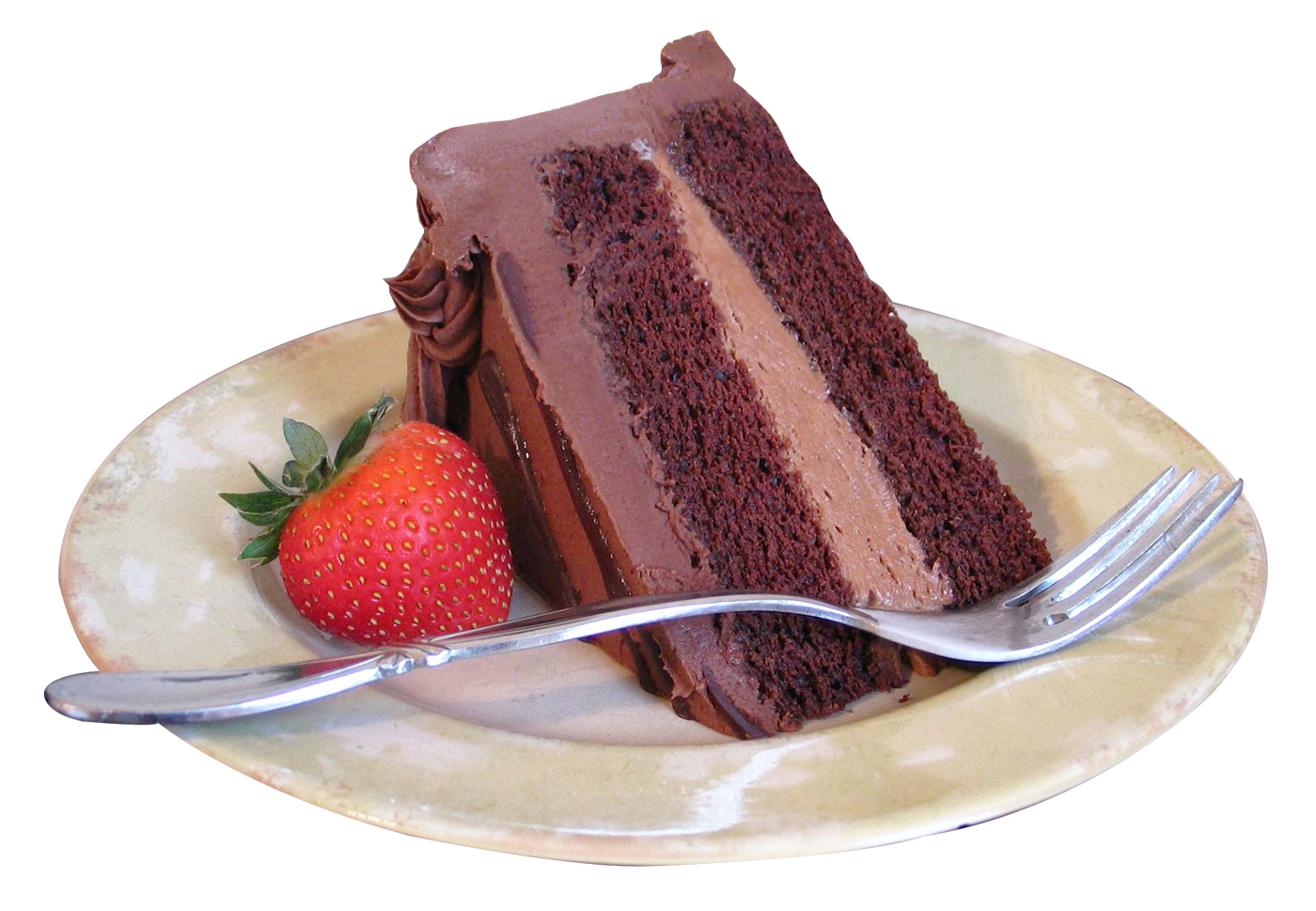 chocolate fake cake slice