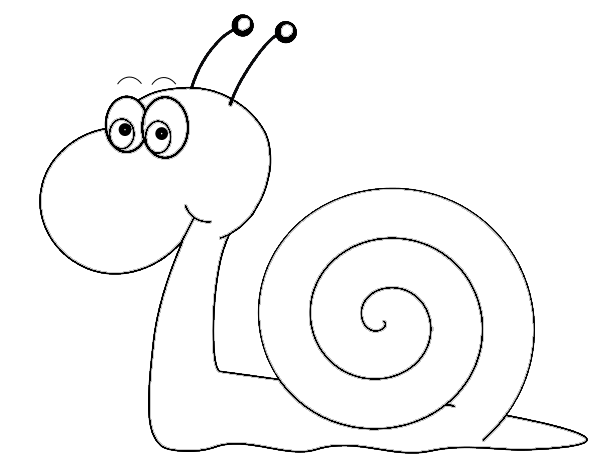 Png Snail Black And White - Pin Mollusc Clipart Black And White #10, Transparent background PNG HD thumbnail