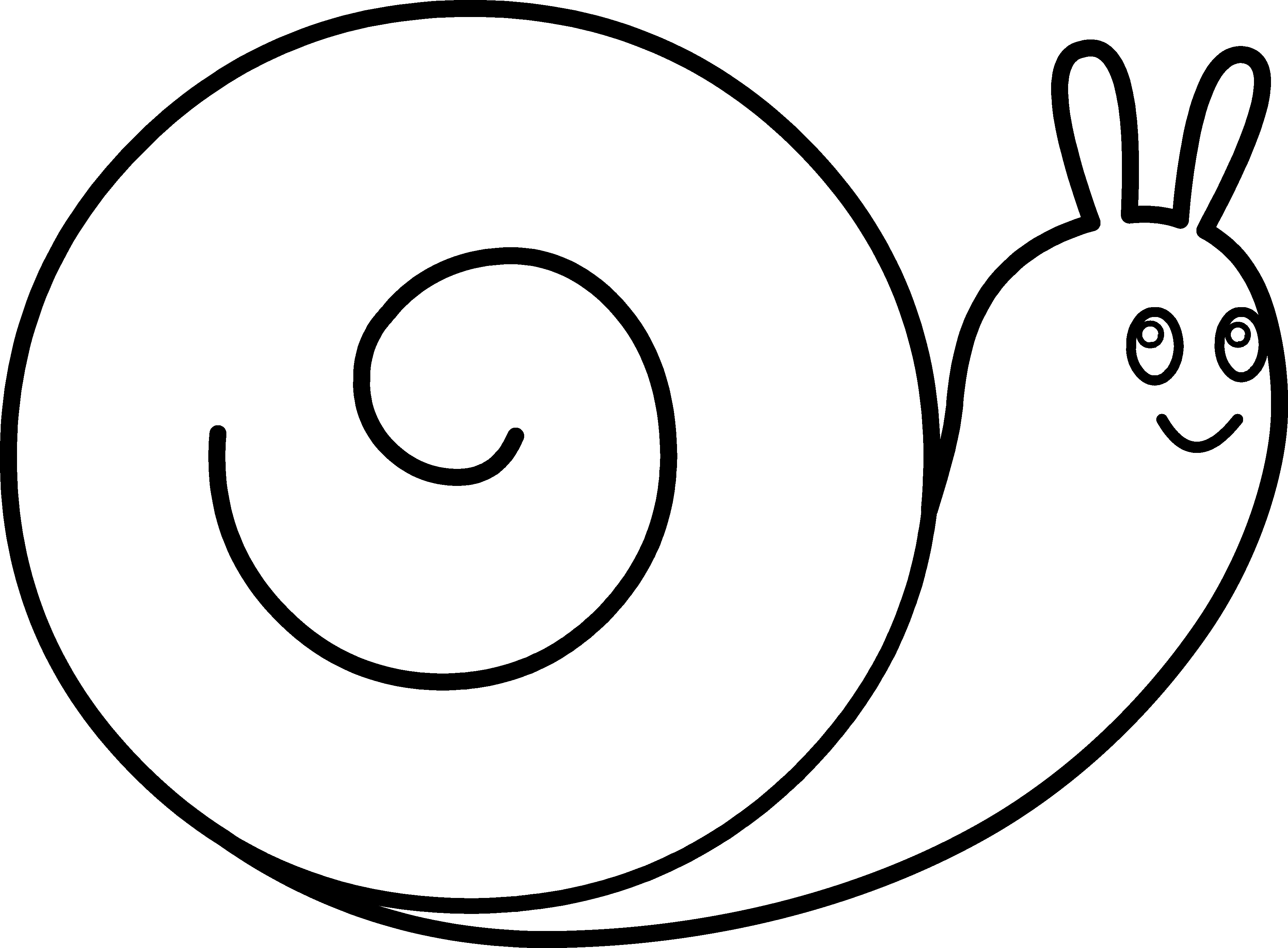 Black and White Snail on a Le