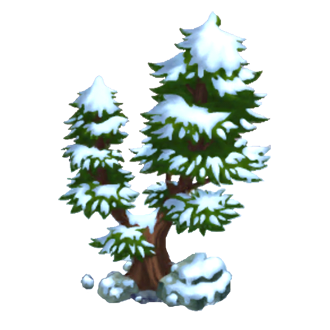 Evergreen Tree Covered in Sno