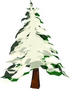 Pin Pine Clipart Snowy #5 - Snowy, Transparent background PNG HD thumbnail