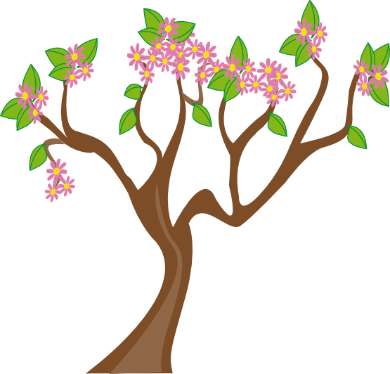 Spring Tree 555Px.png - Spring Tree, Transparent background PNG HD thumbnail