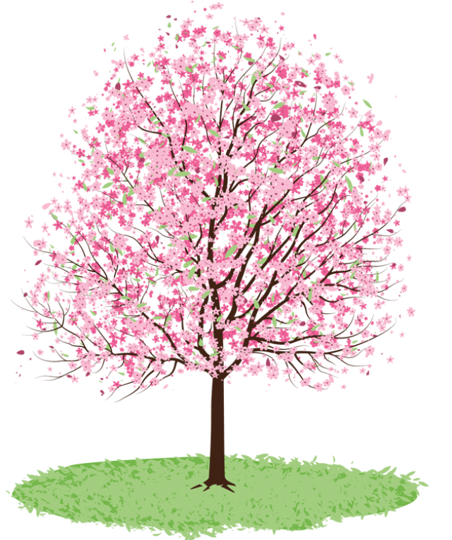 Spring Tree Free Clipart - Spring Tree, Transparent background PNG HD thumbnail