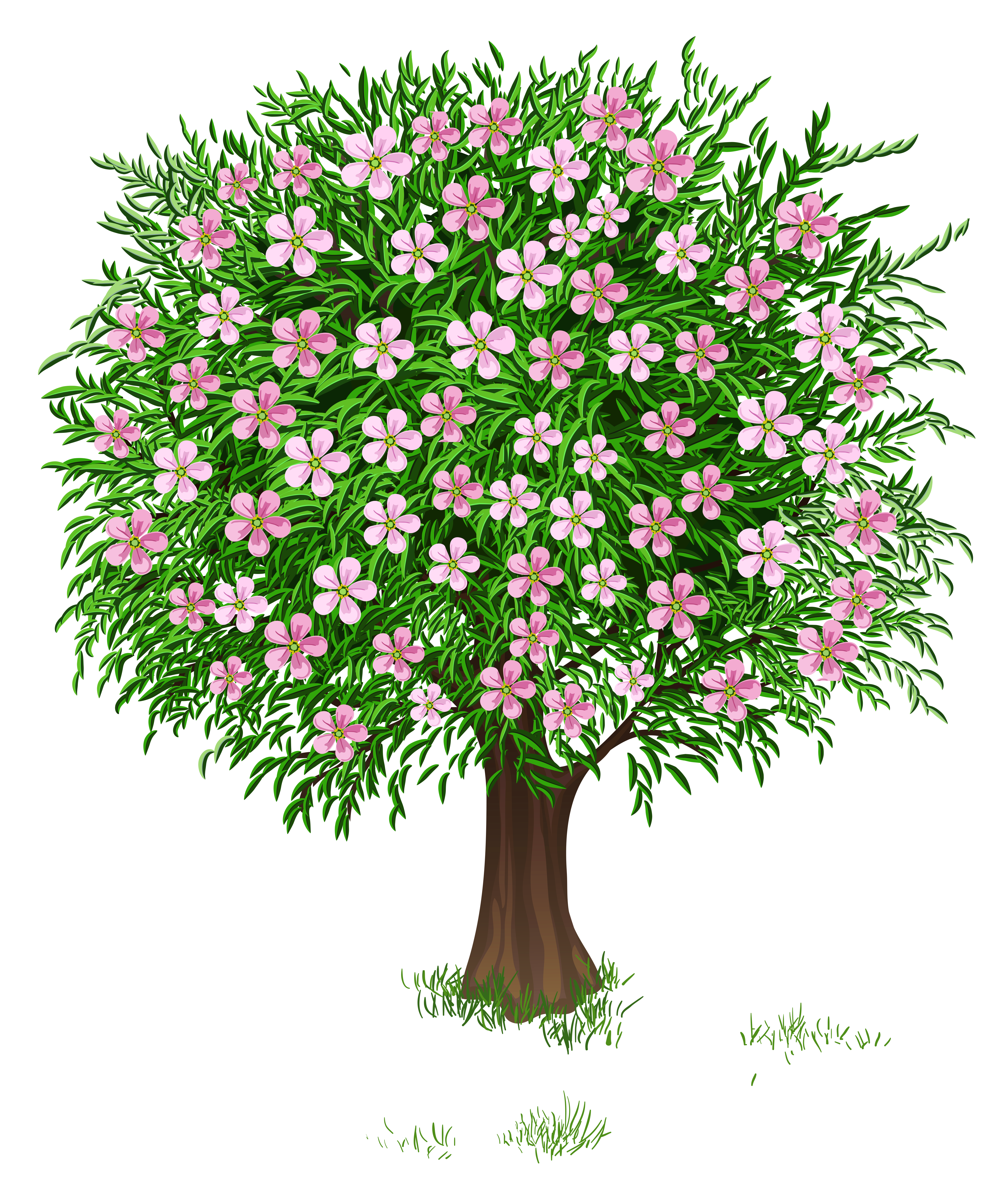 Spring Trees Cliparts #2623418 - Spring Tree, Transparent background PNG HD thumbnail