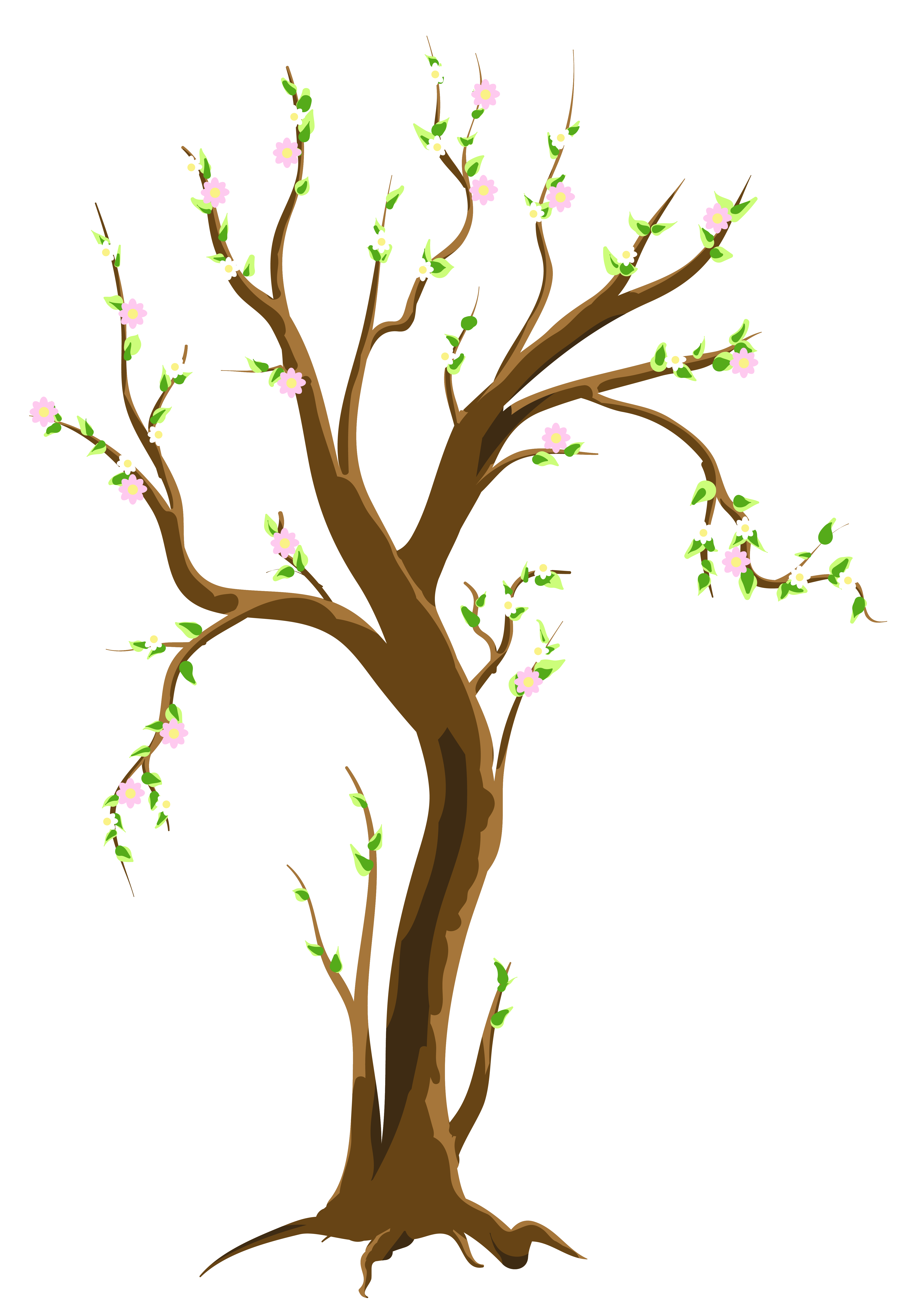 Spring Trees Cliparts #2623432 - Spring Tree, Transparent background PNG HD thumbnail