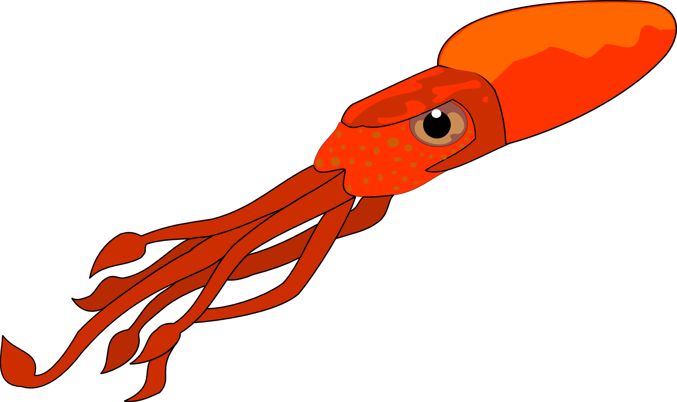 Clipart Info - Squid, Transparent background PNG HD thumbnail