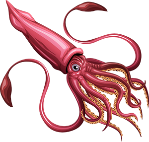 Giant Squid - Squid, Transparent background PNG HD thumbnail