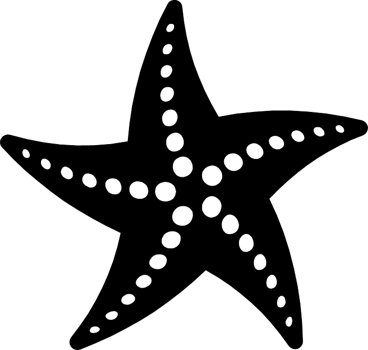 Png Starfish Black And White - Cognitive Starfish, Transparent background PNG HD thumbnail