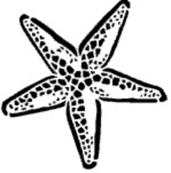 starfish clip art black and w