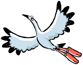 File:knue Stork.png - Stork, Transparent background PNG HD thumbnail