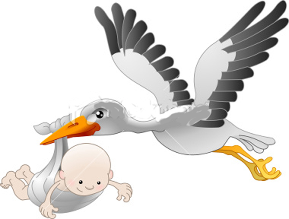 Storch Png Image #18389 - Stork, Transparent background PNG HD thumbnail