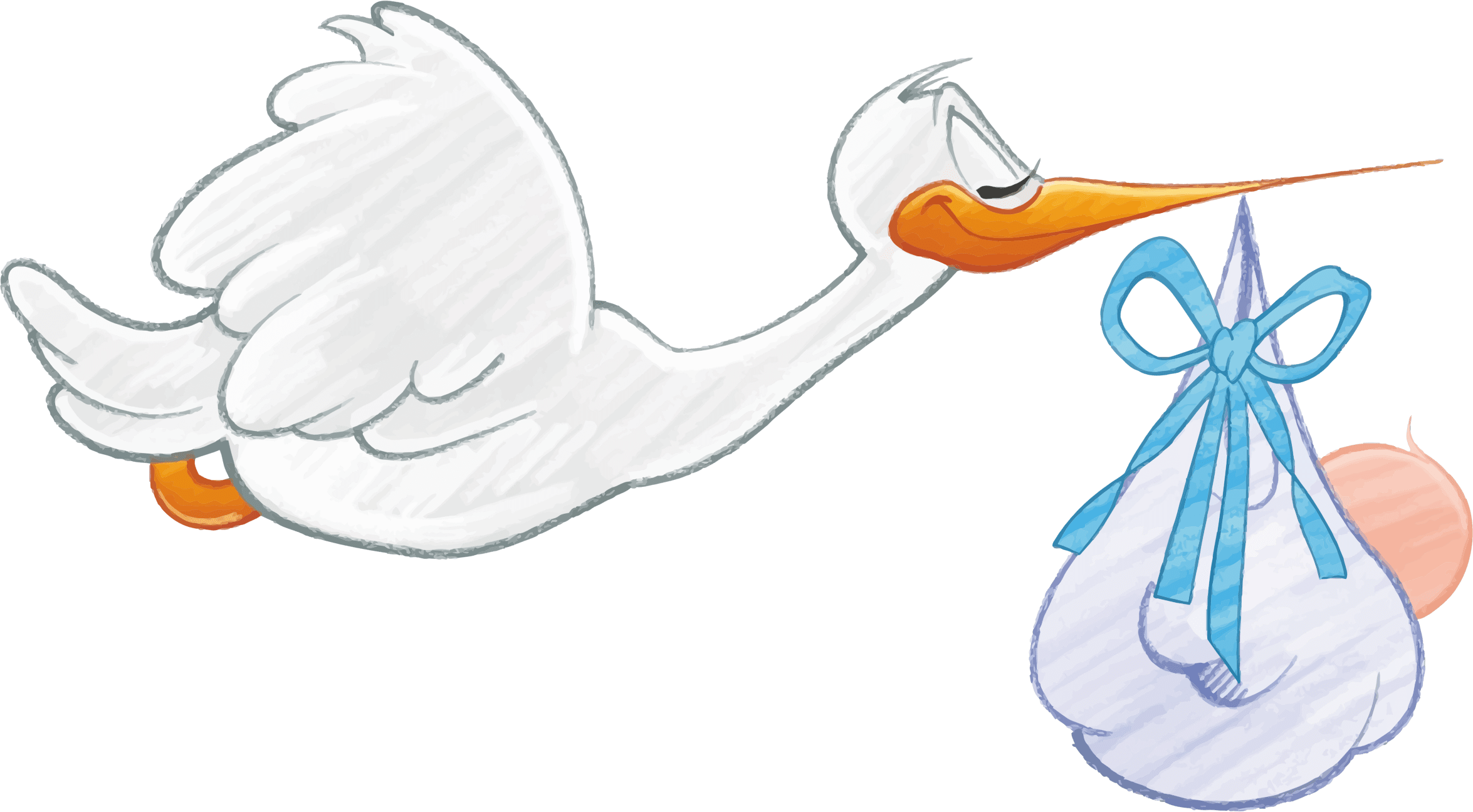 Stork Carrying Baby - Stork, Transparent background PNG HD thumbnail