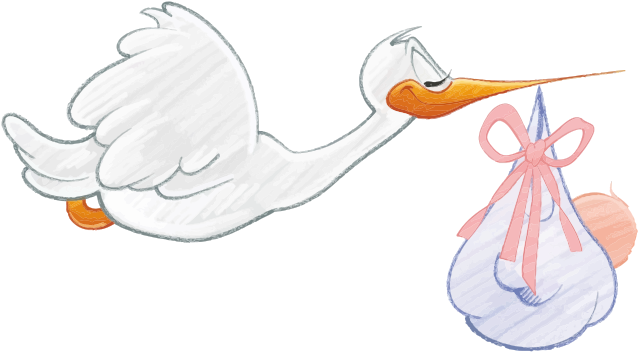 Stork Carrying Baby Girl   /people/baby/stork/stork_Carrying_Baby_Girl.png .html - Stork, Transparent background PNG HD thumbnail