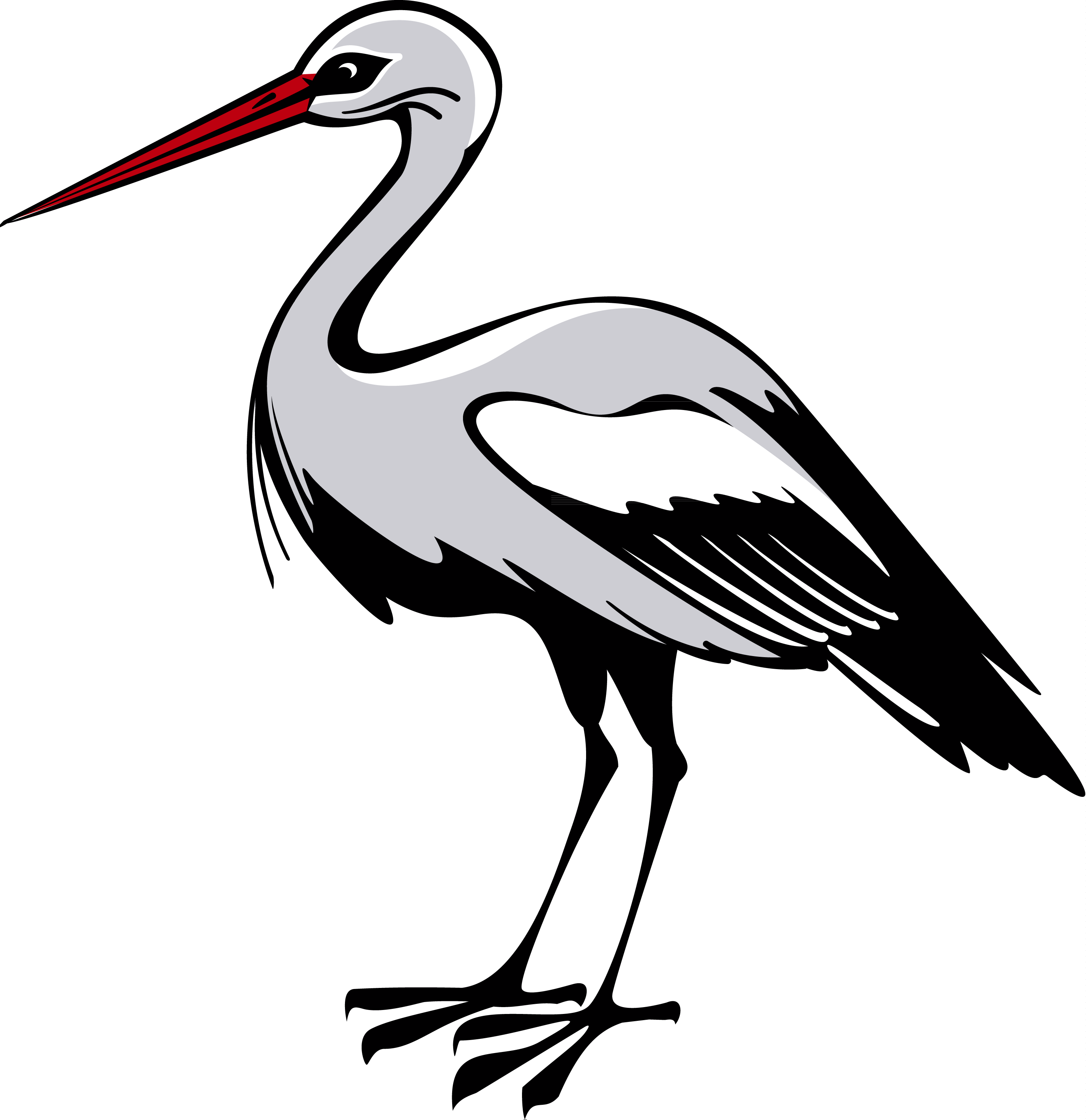 Stork Png - Stork, Transparent background PNG HD thumbnail