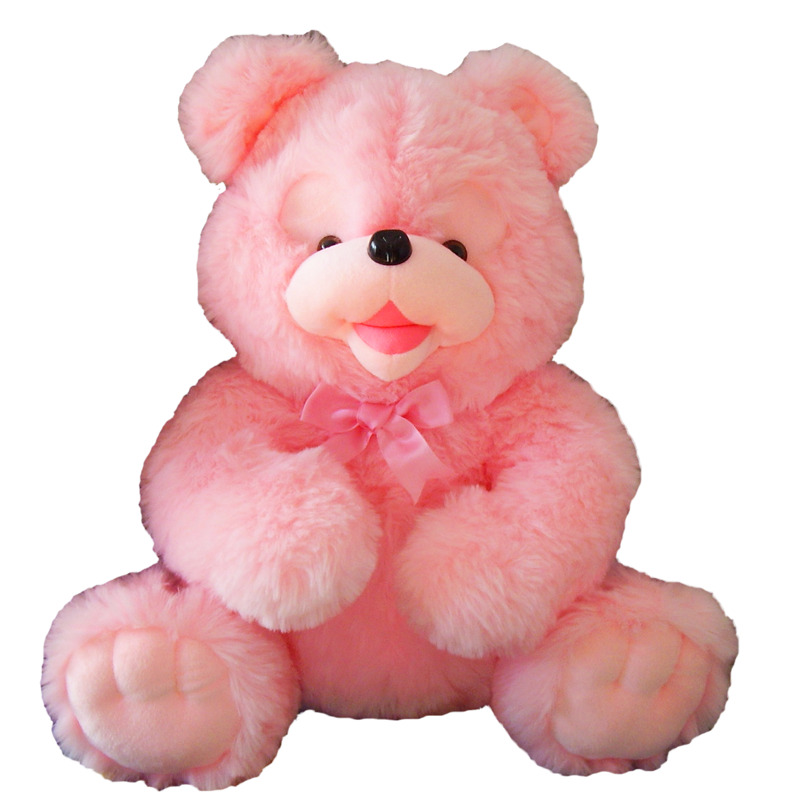 Png Teddy Hdpng.com 1154 - Teddy, Transparent background PNG HD thumbnail