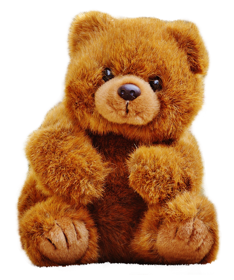 Png Teddy Hdpng.com 950 - Teddy, Transparent background PNG HD thumbnail