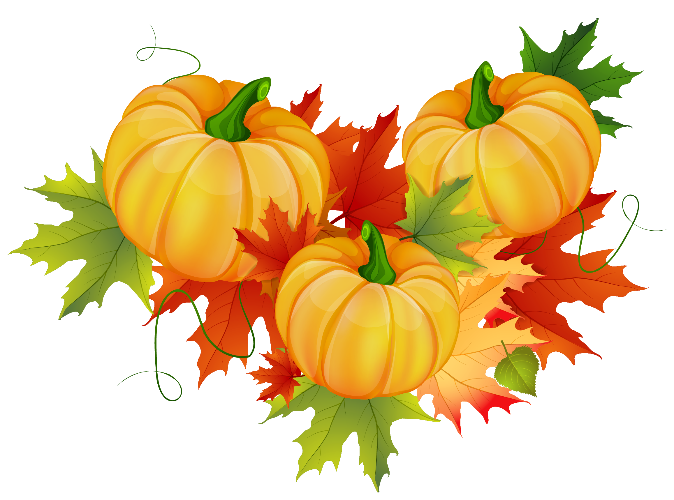 Thanksgiving Png Pic - Thanksgiving, Transparent background PNG HD thumbnail