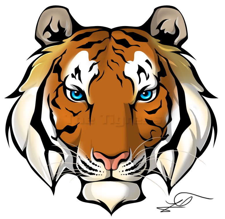 Clipart Info - Tiger Face, Transparent background PNG HD thumbnail