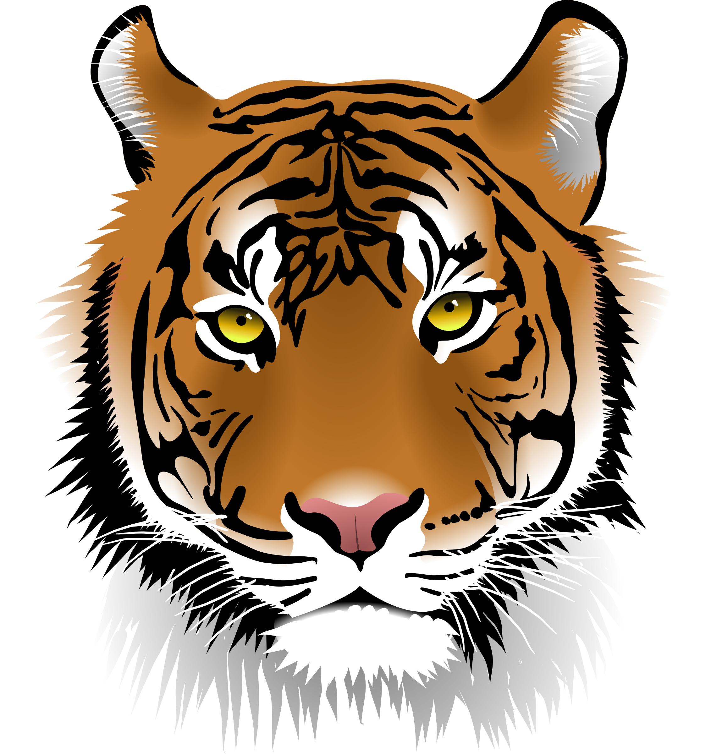 Tiger Face - Tiger Face, Transparent background PNG HD thumbnail