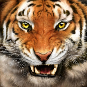 Tiger Face Fire Effects Image - Tiger Face, Transparent background PNG HD thumbnail