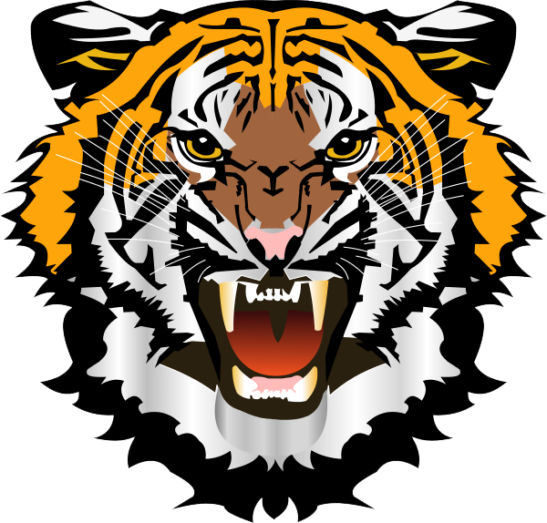 Tiger Face Png File - Tiger Face, Transparent background PNG HD thumbnail